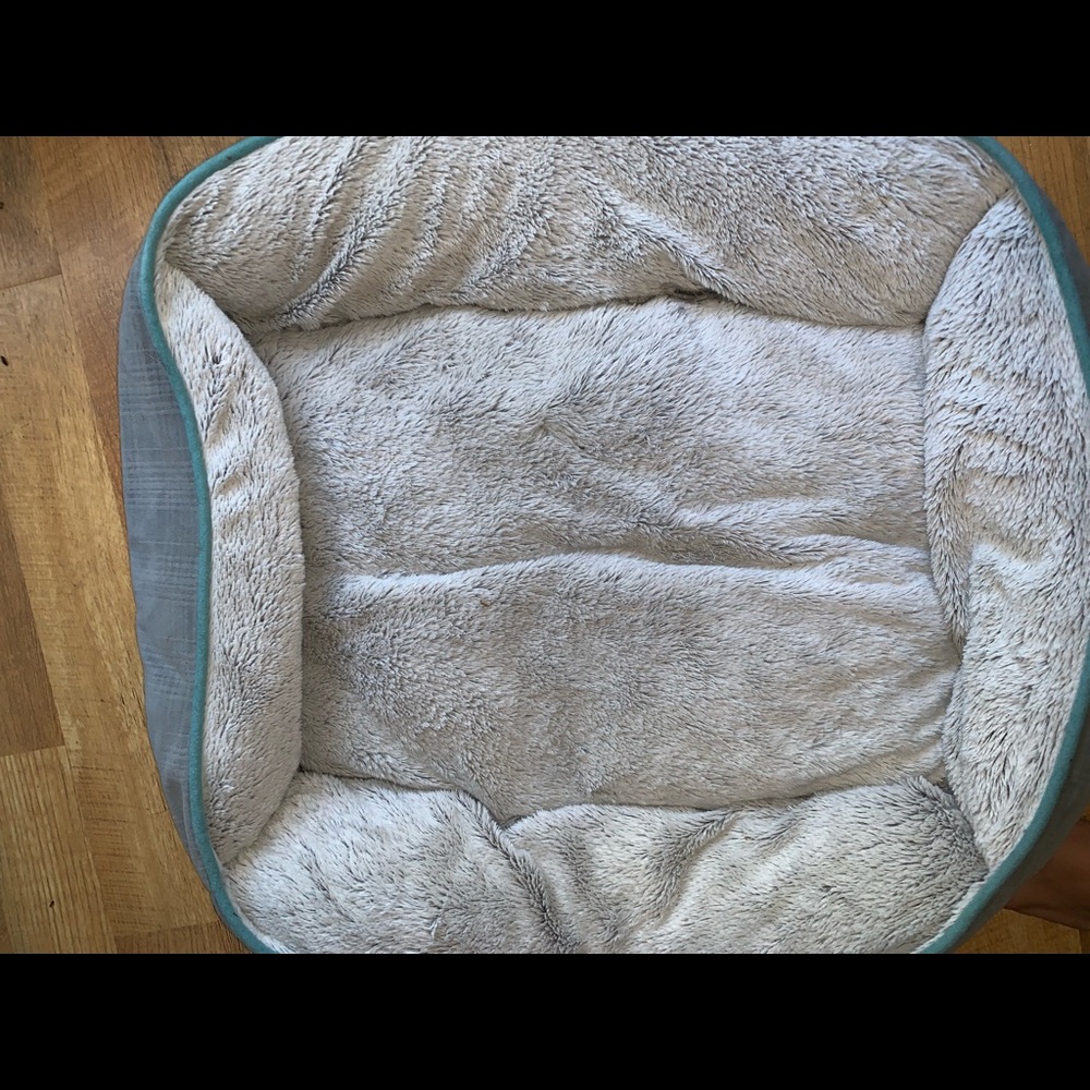 Cute dog bed🥰
